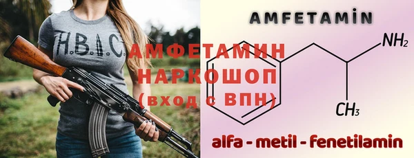 индика Ельня