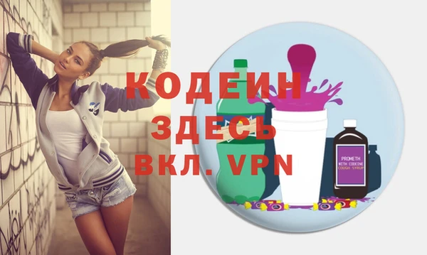 индика Ельня