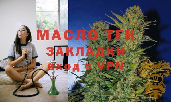спиды Елизово