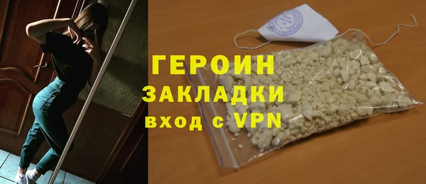 индика Ельня