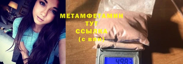 индика Ельня