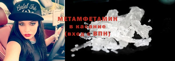 индика Ельня