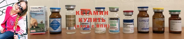 спиды Елизово