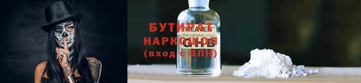 индика Ельня