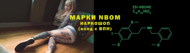 индика Ельня