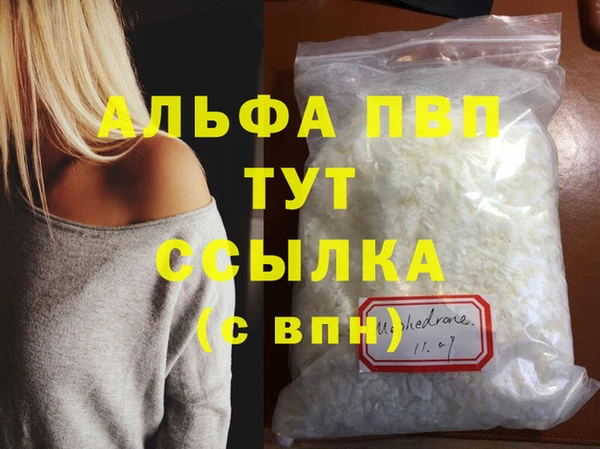 индика Ельня