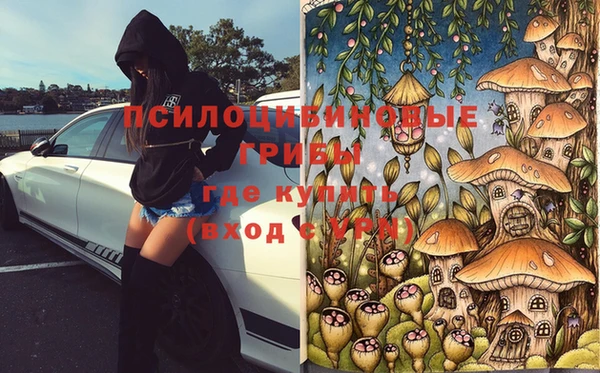 спиды Елизово