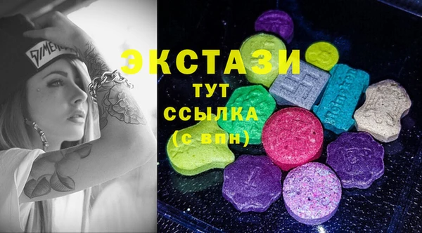 индика Ельня
