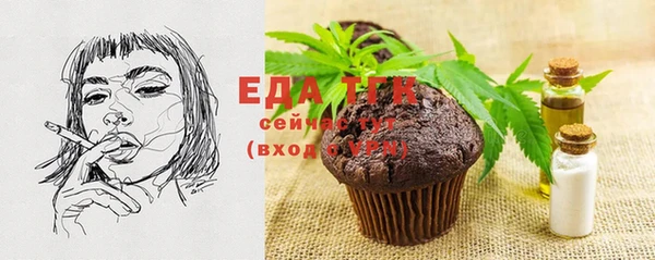 индика Ельня
