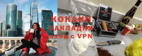 индика Ельня