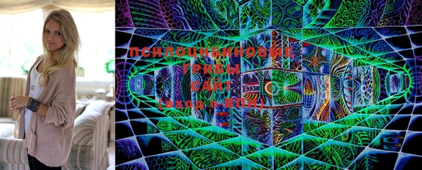 индика Ельня