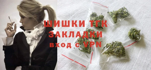 индика Ельня
