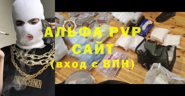индика Ельня