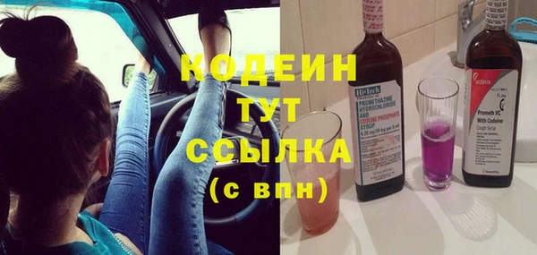 индика Ельня